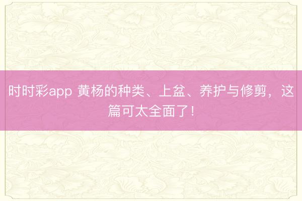 時時彩app 黃楊的種類、上盆、養護與修剪，這篇可太全面了！