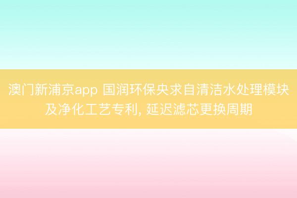 澳門新浦京app 國潤環(huán)保央求自清潔水處理模塊及凈化工藝專利, 延遲濾芯更換周期