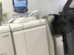 雷焰圖文設(shè)計(jì)制作 深耕上海，鑄就專業(yè)視覺與印刷服務(wù)典范