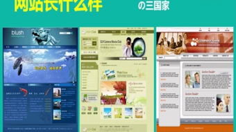 網站建設 從零到一的全面指南
